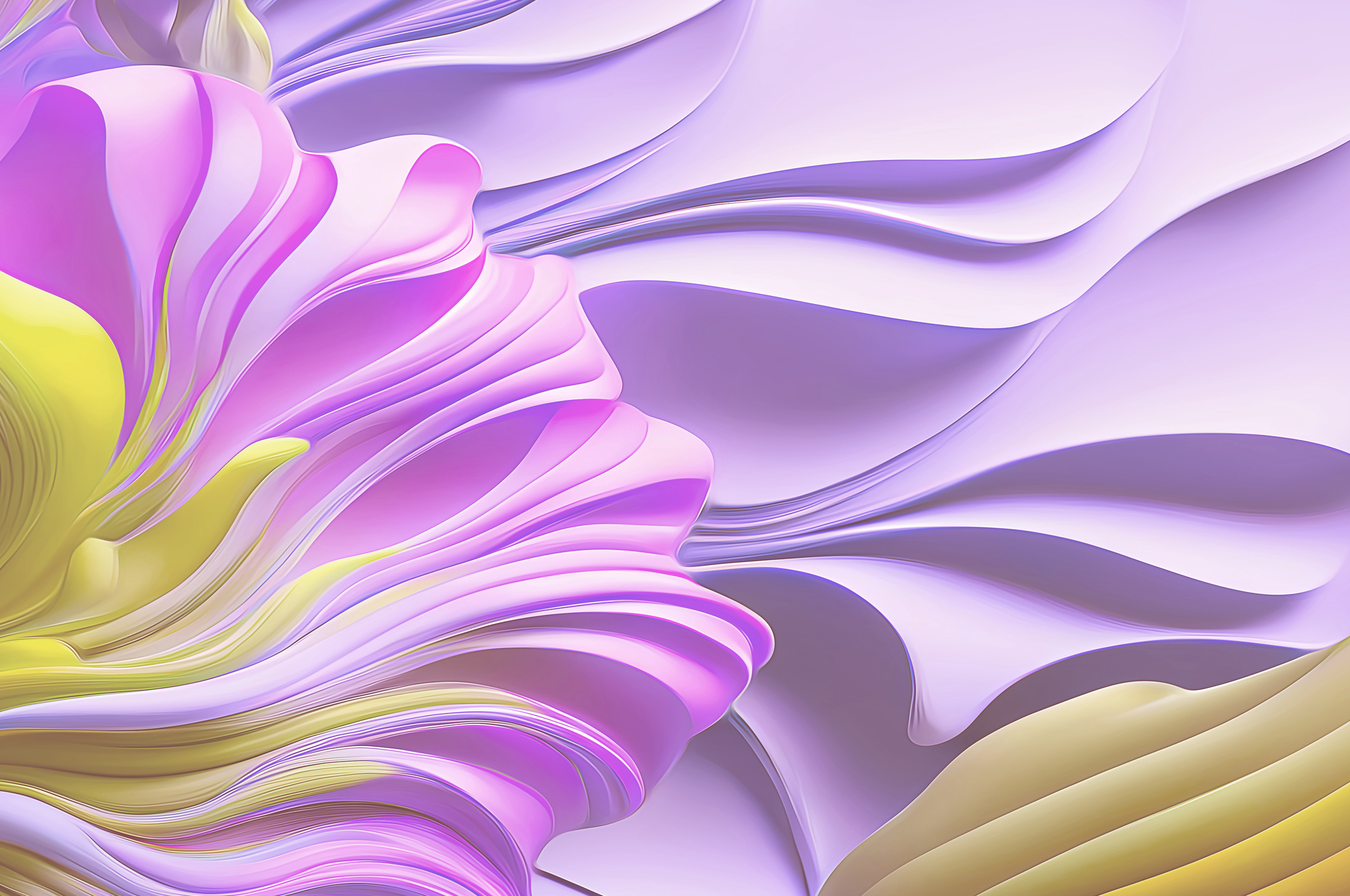 Banner en tête